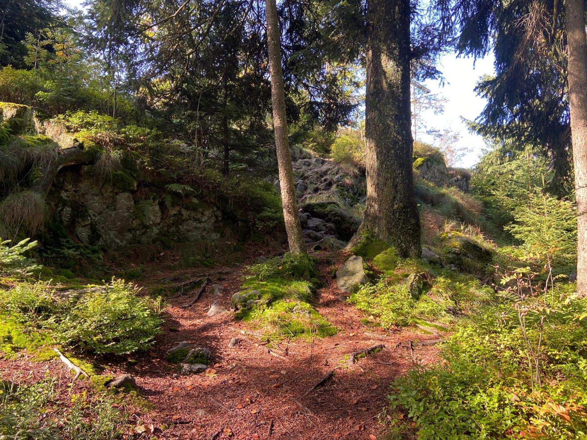 Landgasthof Brandtner Wirt Langdorf  Екстериор снимка